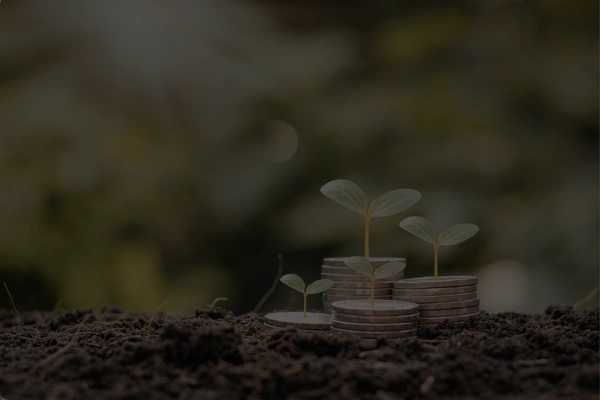 Private Equity & Alternative Investment Funds (AIFs)